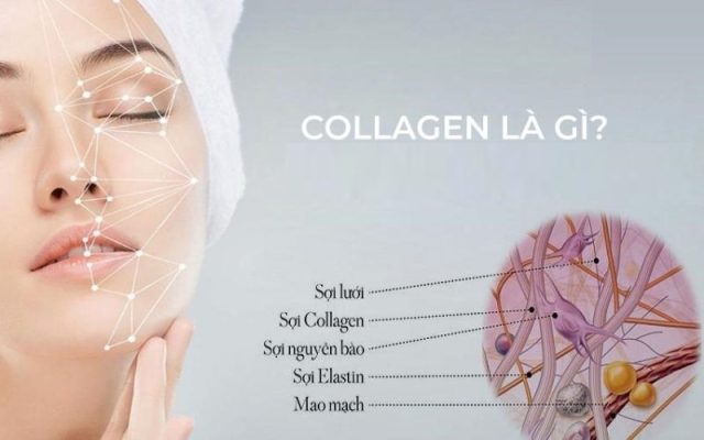 collagen chống lão hóa