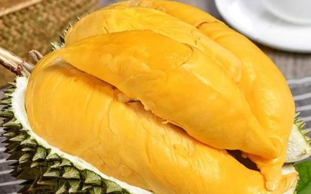 Sầu riêng Musang King là loại giống đến từ Malaysia