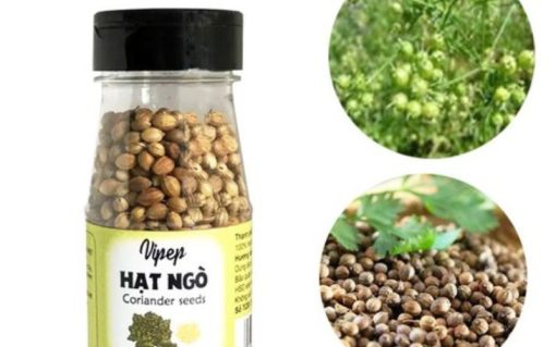 Hạt Ngò Vipep 30g – Rất tốt cho tiêu hóa và dạ dày, muốn cà ri có vị đậm đà thì không thể nào có thể thiếu loại hạt này được.