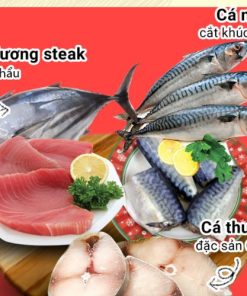 Combo Cá Nục Cá Ngừ Cá Cơm Chả Cá Lý Sơn Giao Đà Nẵng