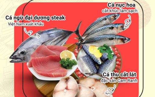 Combo Cá Nục Cá Ngừ Cá Cơm Chả Cá Lý Sơn Giao Đà Nẵng