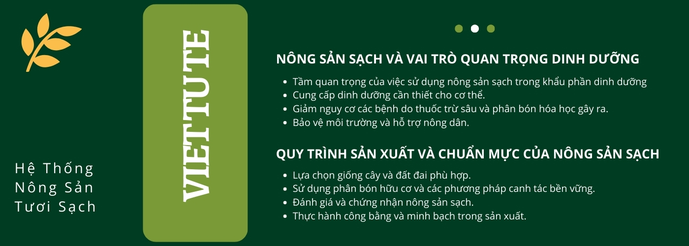 BANNER TỬ TẾ VIỆT (1)