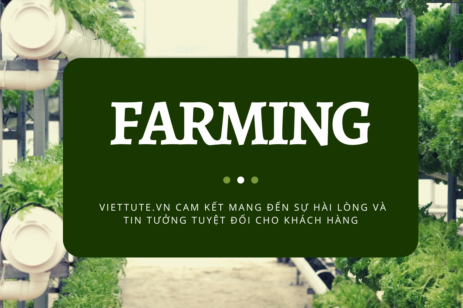 FARMING-VIETTUTE.VN