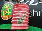 140px HK Parkn Shop Chinese Mid autumn Festival pink Lantern green grass in art Sept 2012